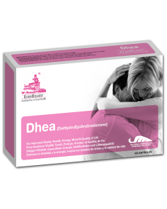 7-Keto Dhea